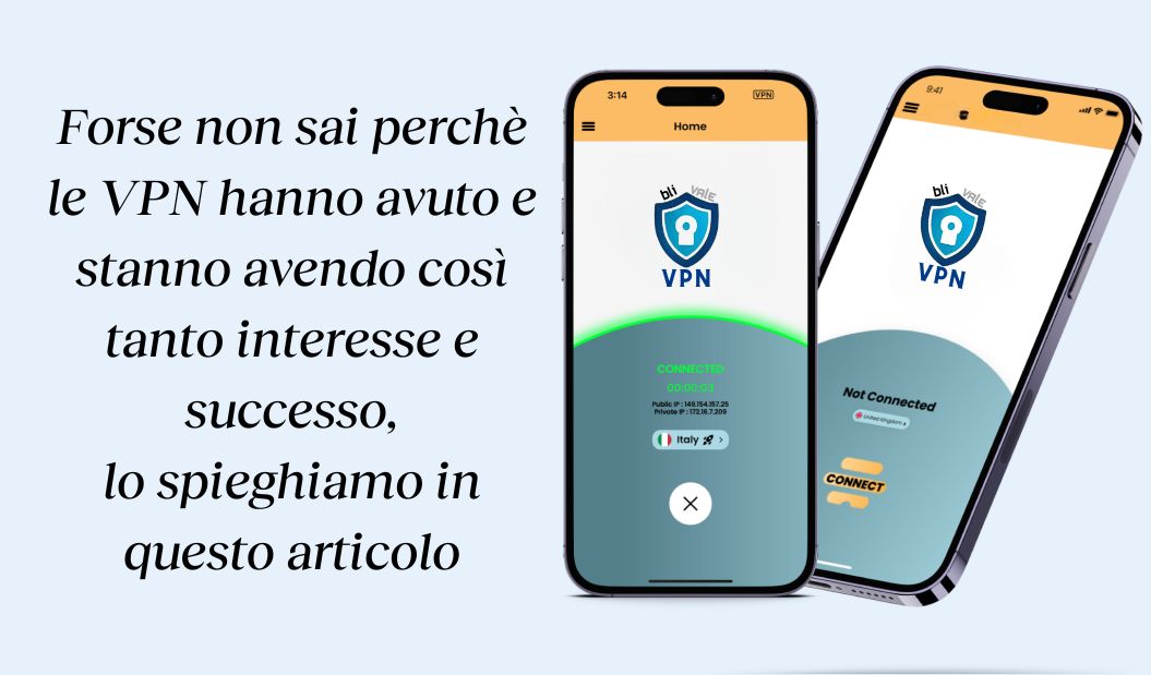 blivale_image_blog_perchè_VPN_stanno_avendo_interesse_ successo BLIVALE Blog: Guides and tips for worry-free travel - Results from #290
